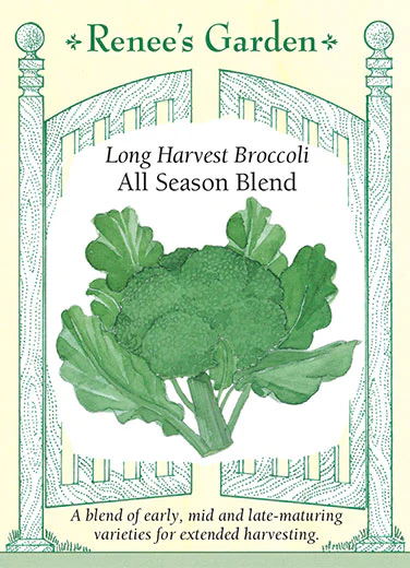 All Season Blend Broccoli - Image 2