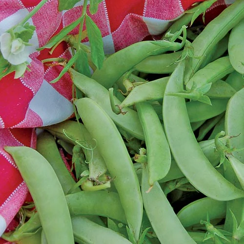 Amish Snap Peas
