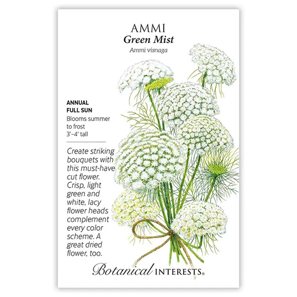 Green Mist Ammi