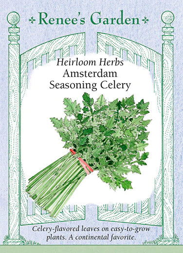 Amsterdam Seasoning Celery - Image 2