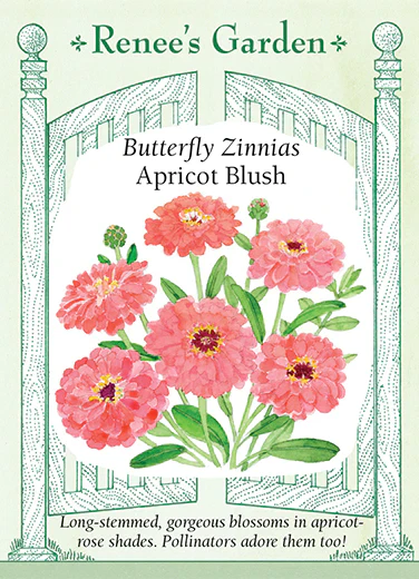 Apricot Blush Zinnias - Image 2
