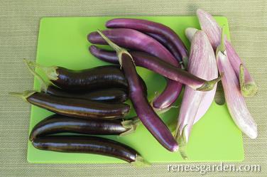 Asian Trio Eggplant