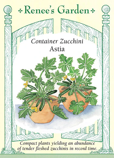 Astia Container Zucchini - Image 2