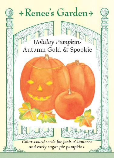 Autumn Gold & Spookie Mix Pumpkin - Image 2