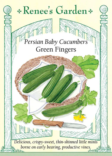Green Fingers Baby Persian Cucumber - Image 2