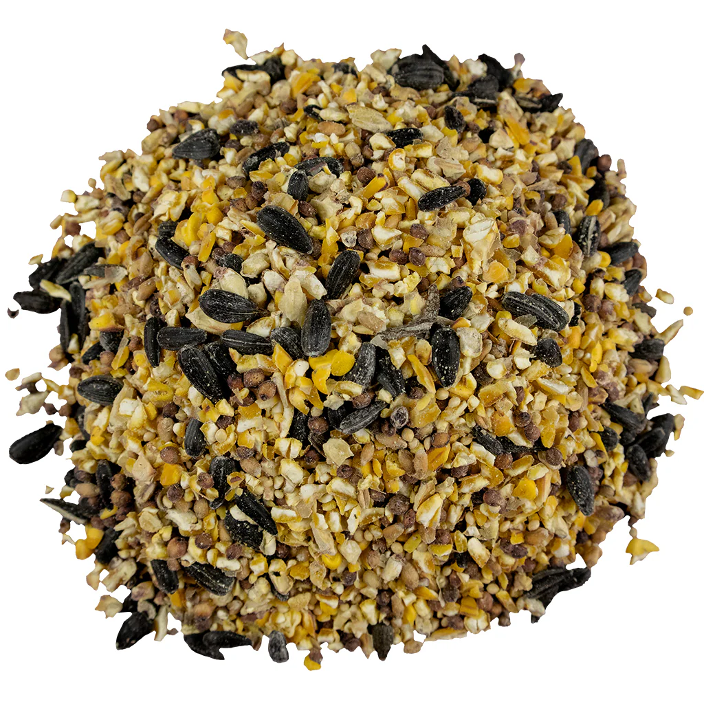 Bird Pro Everyday Economy (5 lb) - Image 3