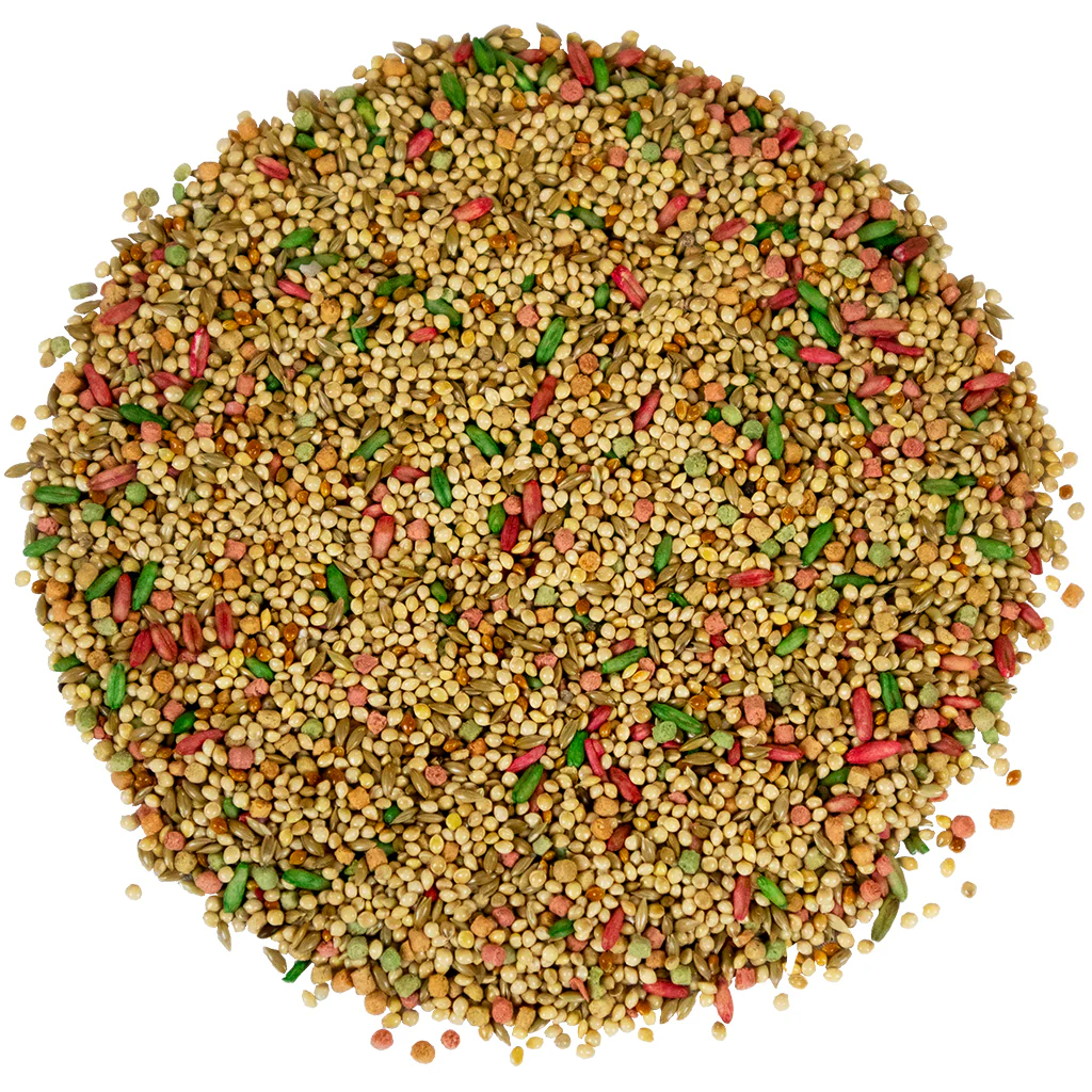 Bird Pro Fortified Parakeet (5 lb) - Image 3