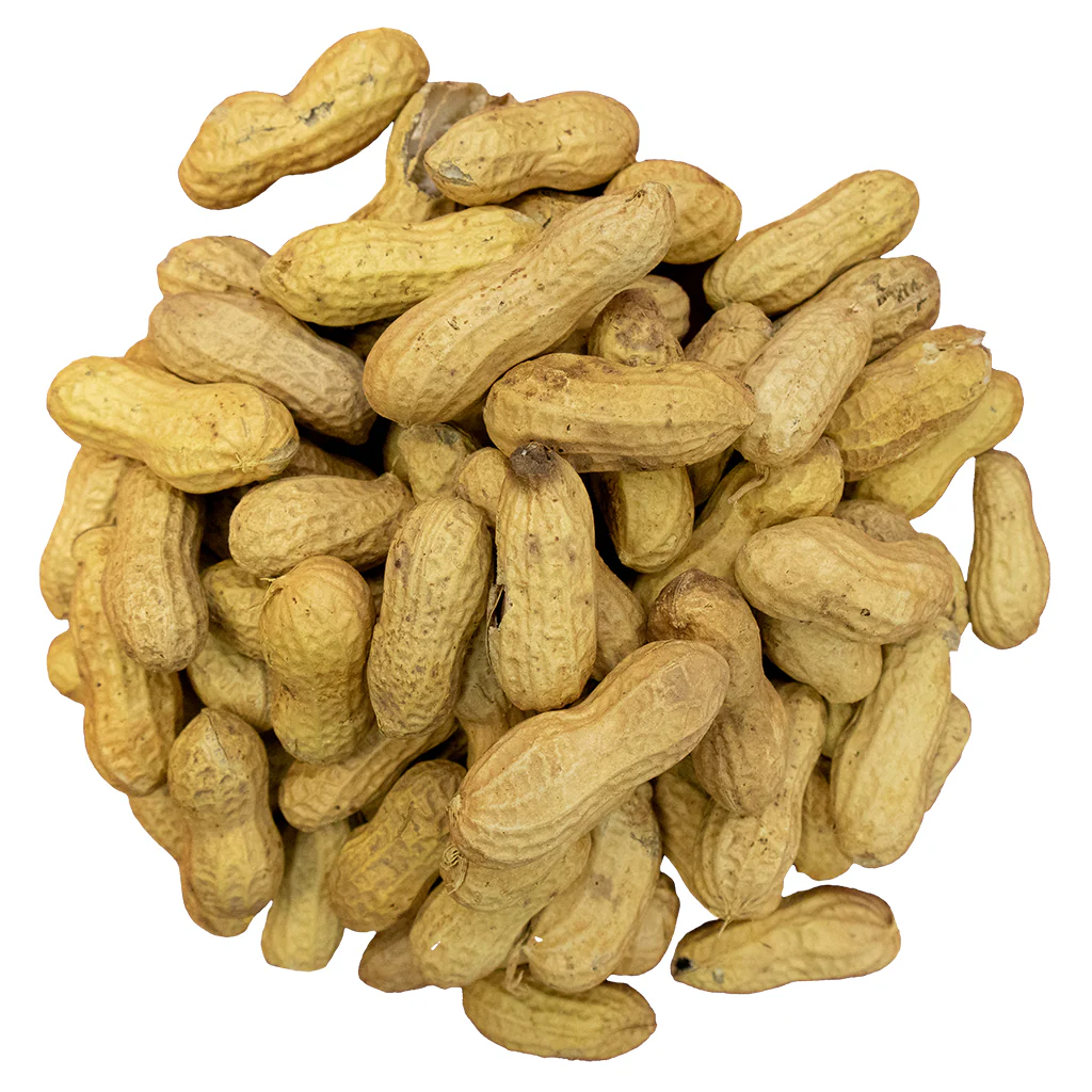 Bird Pro Premium Raw Peanuts In-Shell (3 lb) - Image 3