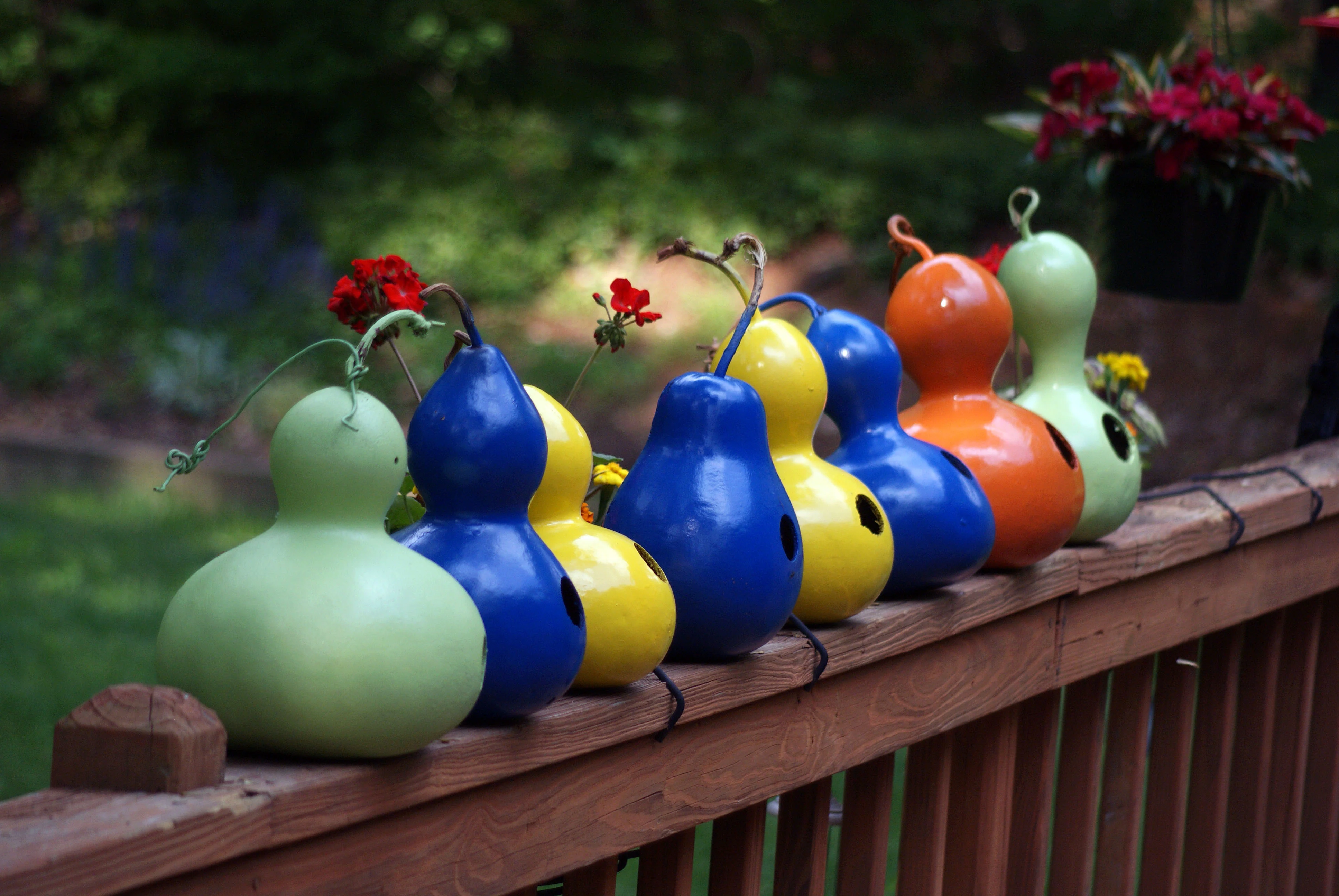 Birdhouse Gourd Seed
