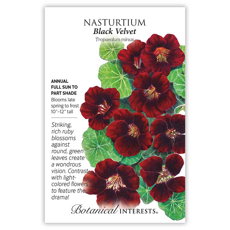 Most Popular Flowers M-Z