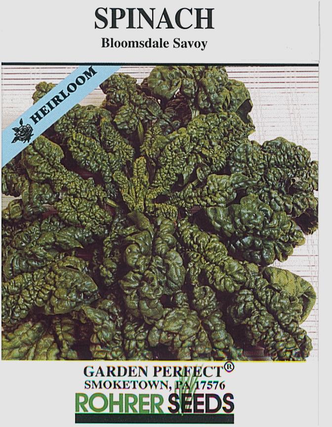 Bloomsdale Spinach Seeds - Image 3
