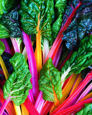 Bright Lights Swiss Chard Seeds