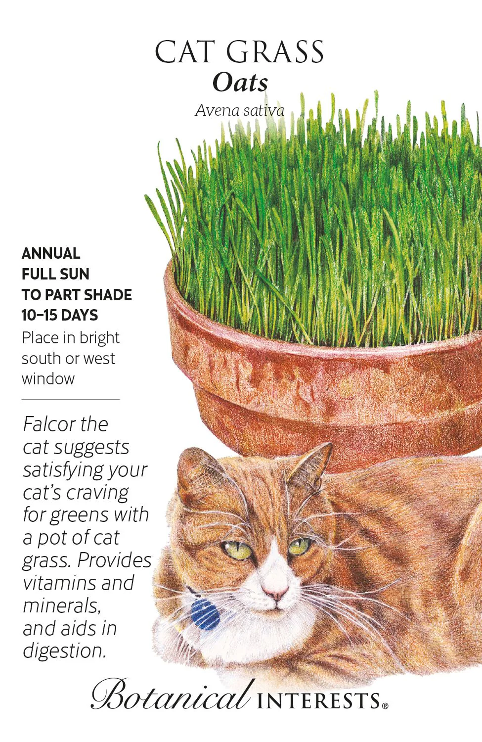 Cat Grass Oats (400 Seed Packet)