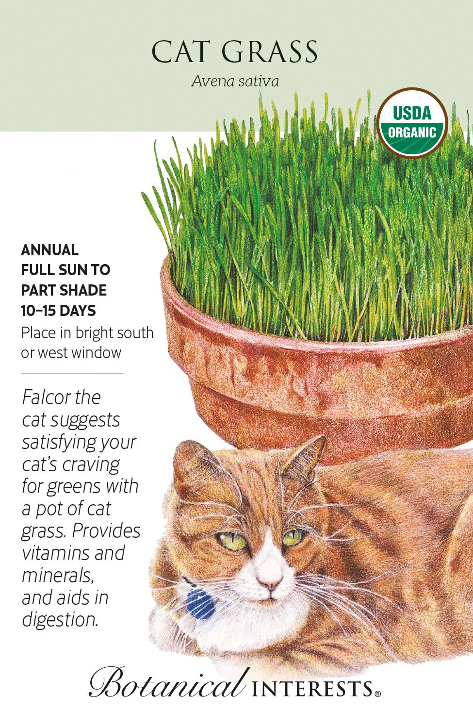 Organic Cat Grass Oats (400 Seed Packet)