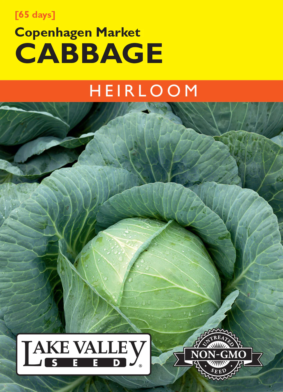 Copenhagen Market Cabbage
