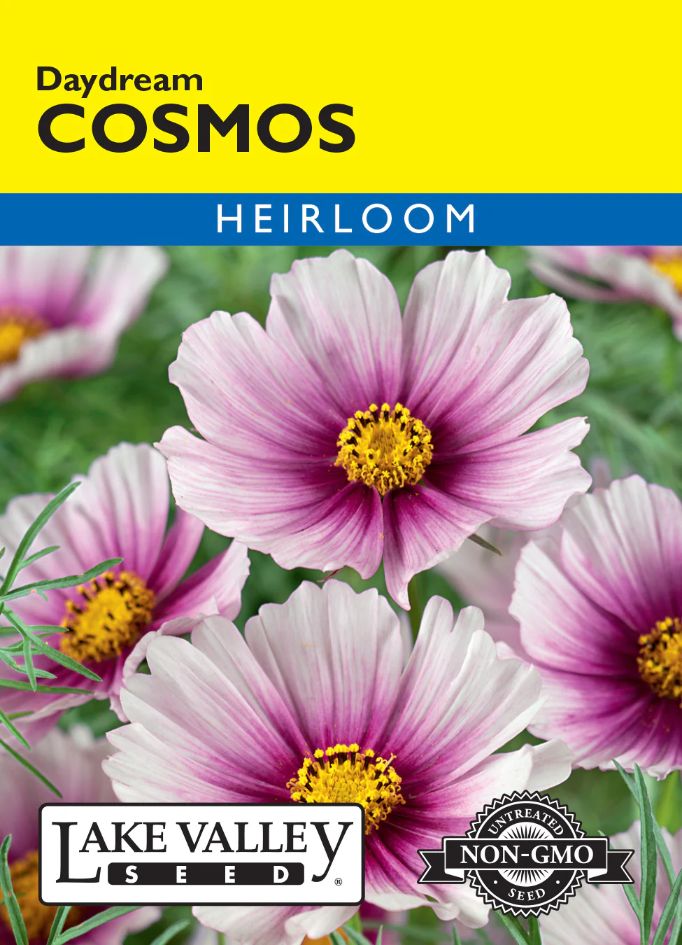 Daydream Cosmos