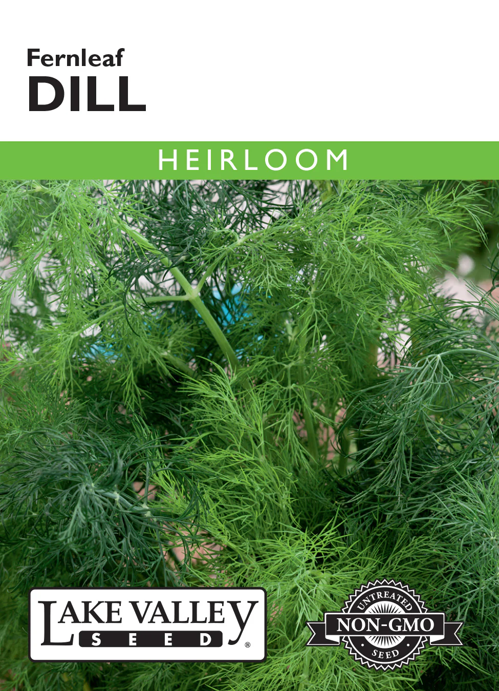 Fernleaf Dill