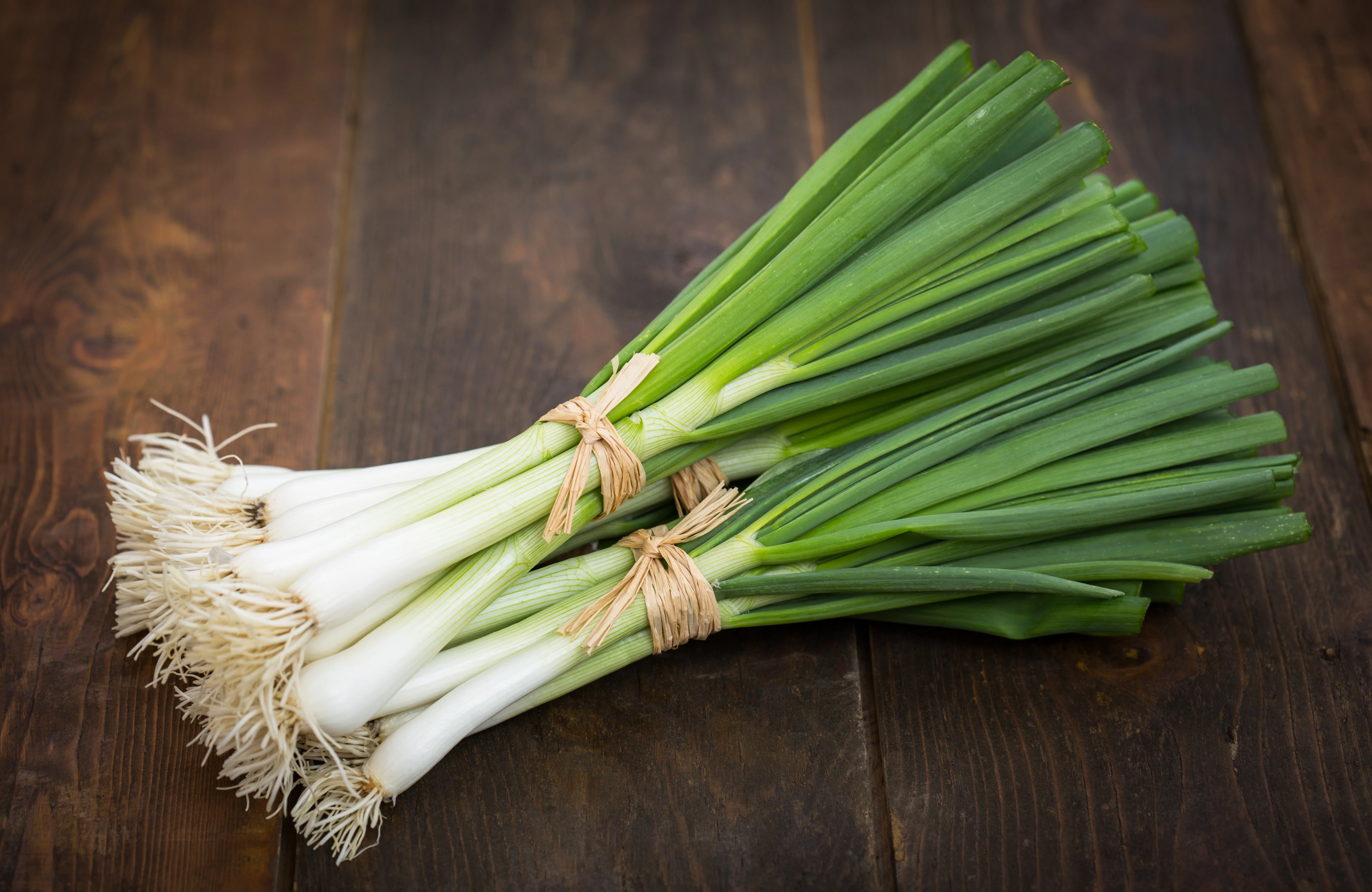 Evergreen Bunching Onion Seeds
