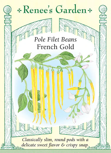 French Gold Pole Filet Bean - Image 2