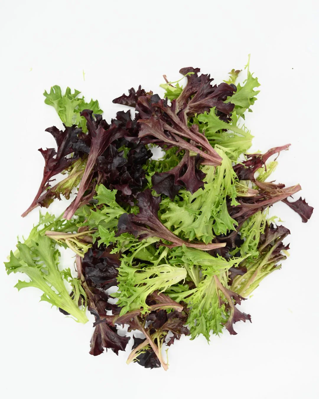 Frilly & Crispy Lettuce Mix
