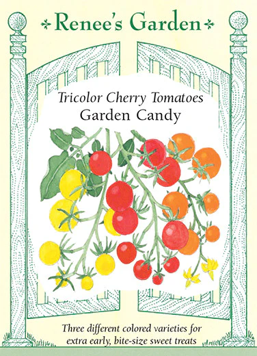 Garden Candy Cherry Tomato - Image 2