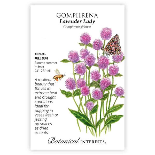 Lavender Lady Gomphrena
