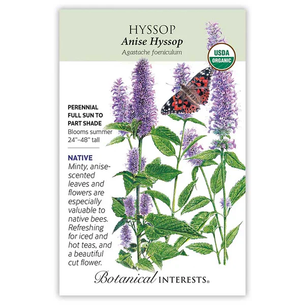 Anise Hyssop