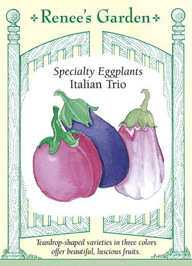 Italian Trio Eggplant - Image 2