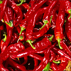 Jimmy Nardello's Sweet Pepper