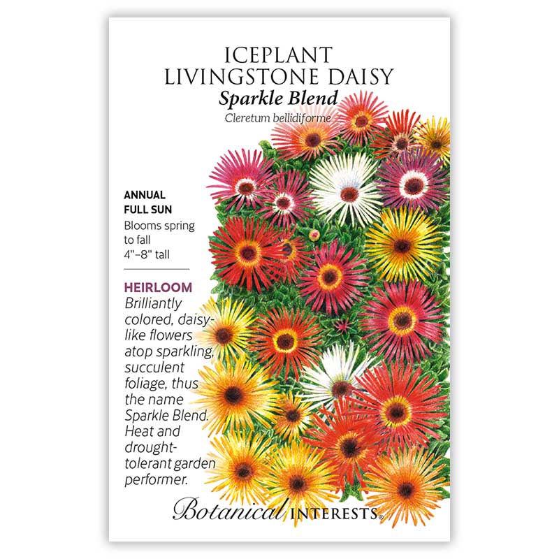 Sparkle Blend Iceplant (Livingston Daisy)