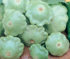 Lunar Eclipse Squash Seeds - Image 2