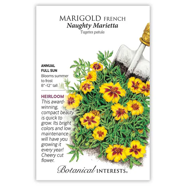 Marigold French Naughty Marietta