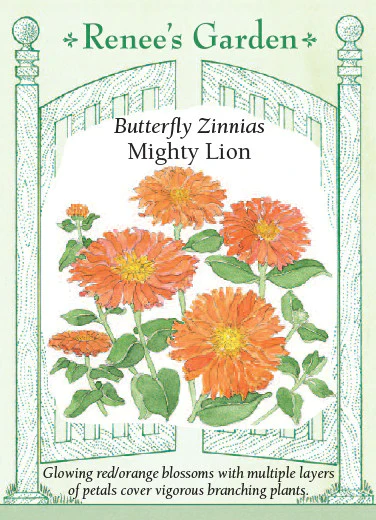 Mighty Lion Butterfly Zinnias - Image 3