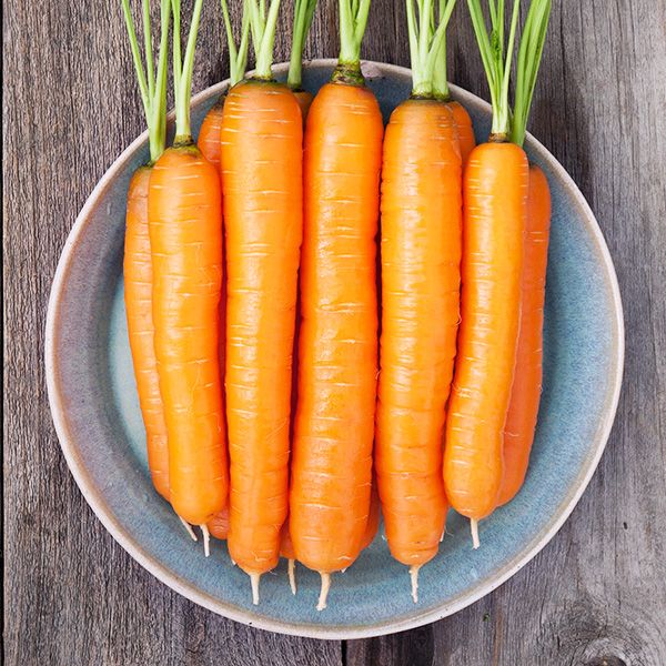 Napoli F1 Carrot