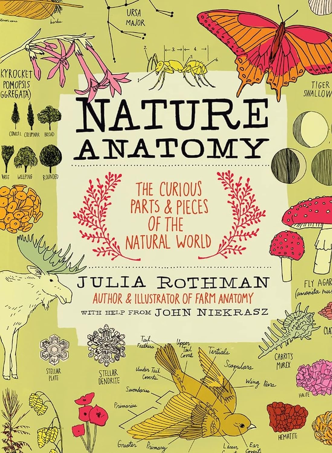Nature Anatomy By Julia Rothman