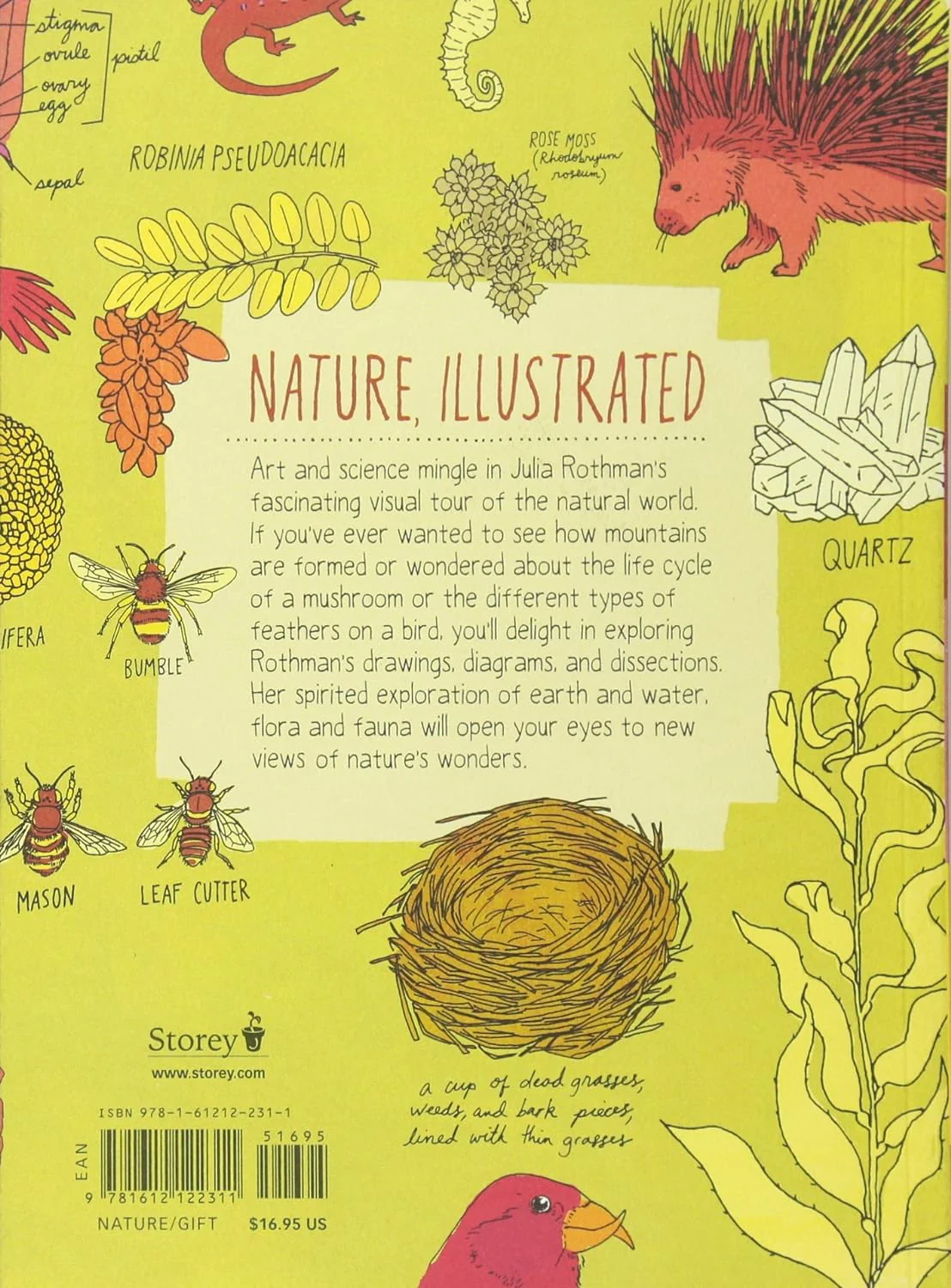 Nature Anatomy By Julia Rothman - Image 2