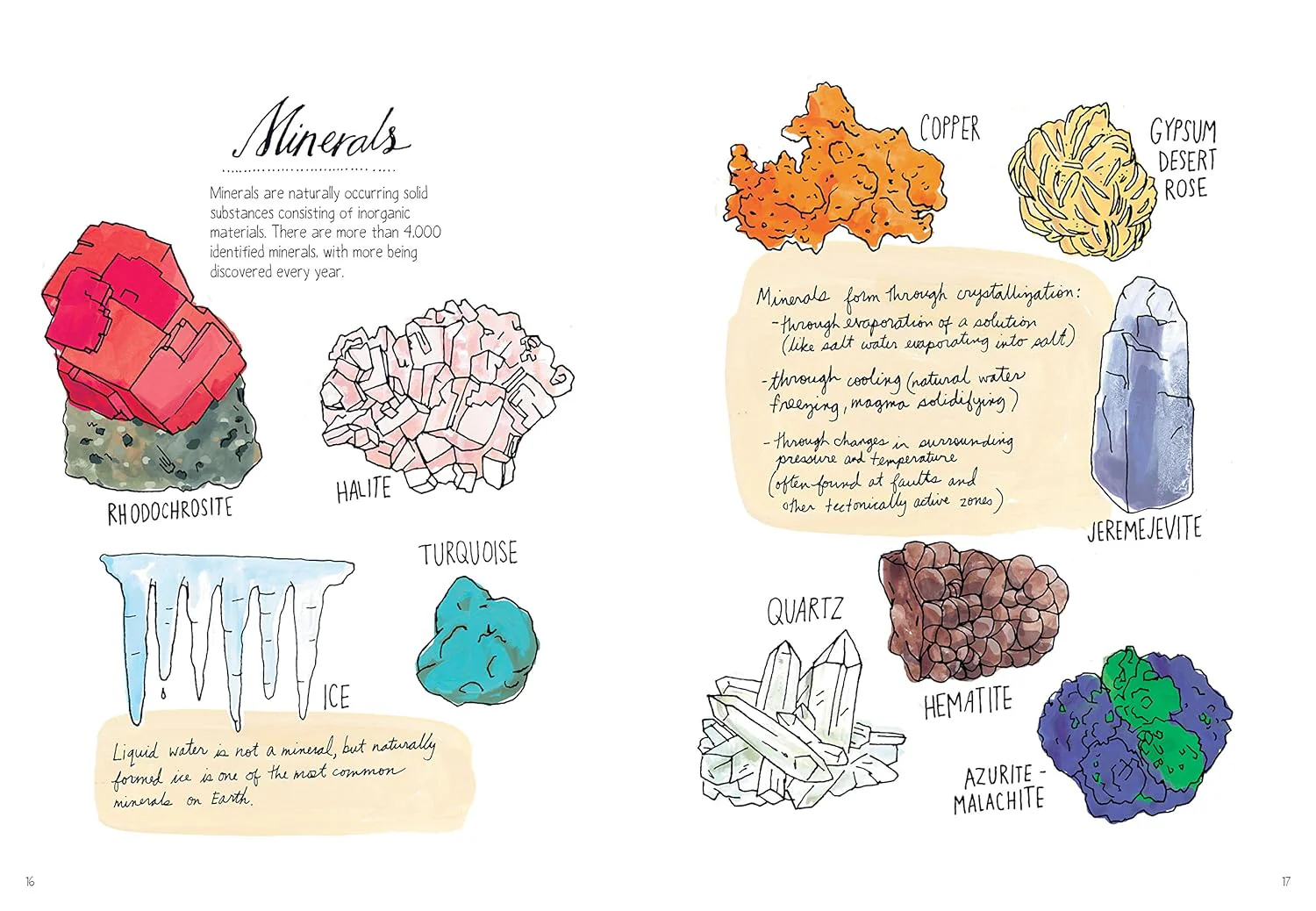 Nature Anatomy By Julia Rothman - Image 3
