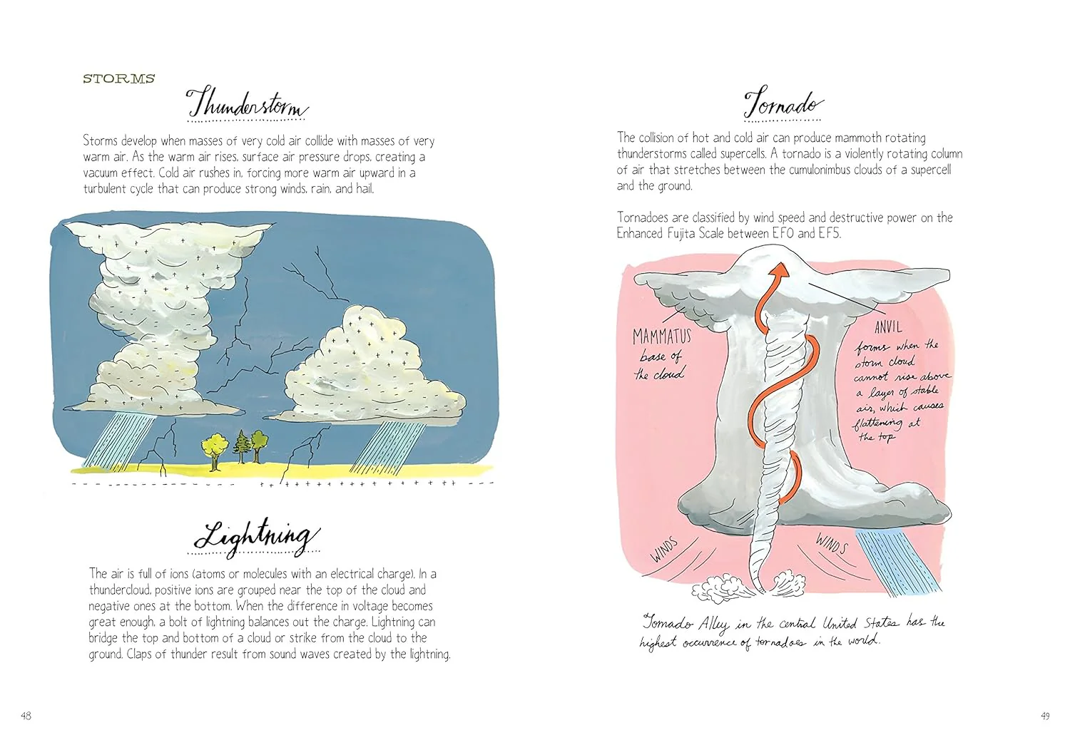 Nature Anatomy By Julia Rothman - Image 5