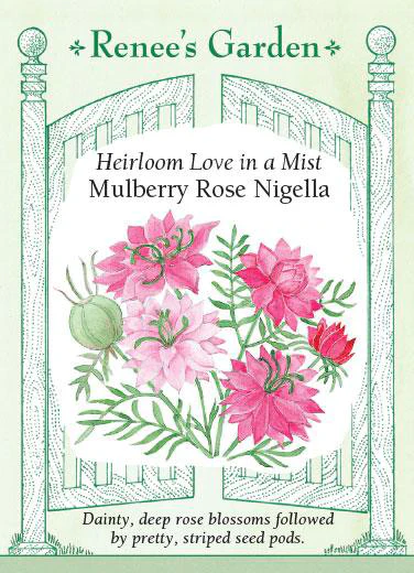 Mulberry Rose Nigella - Image 2
