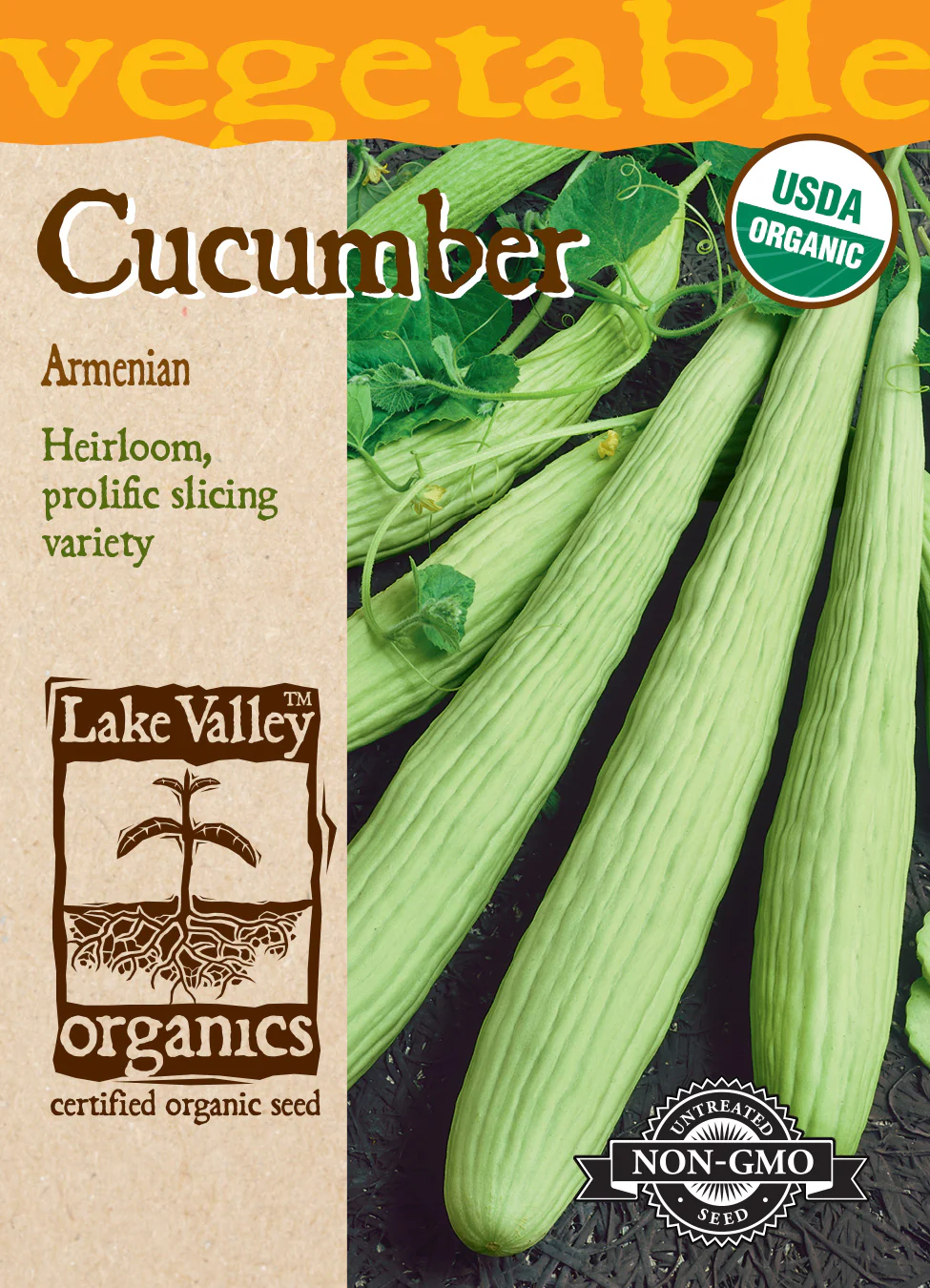 Organic Armenian Cucumber