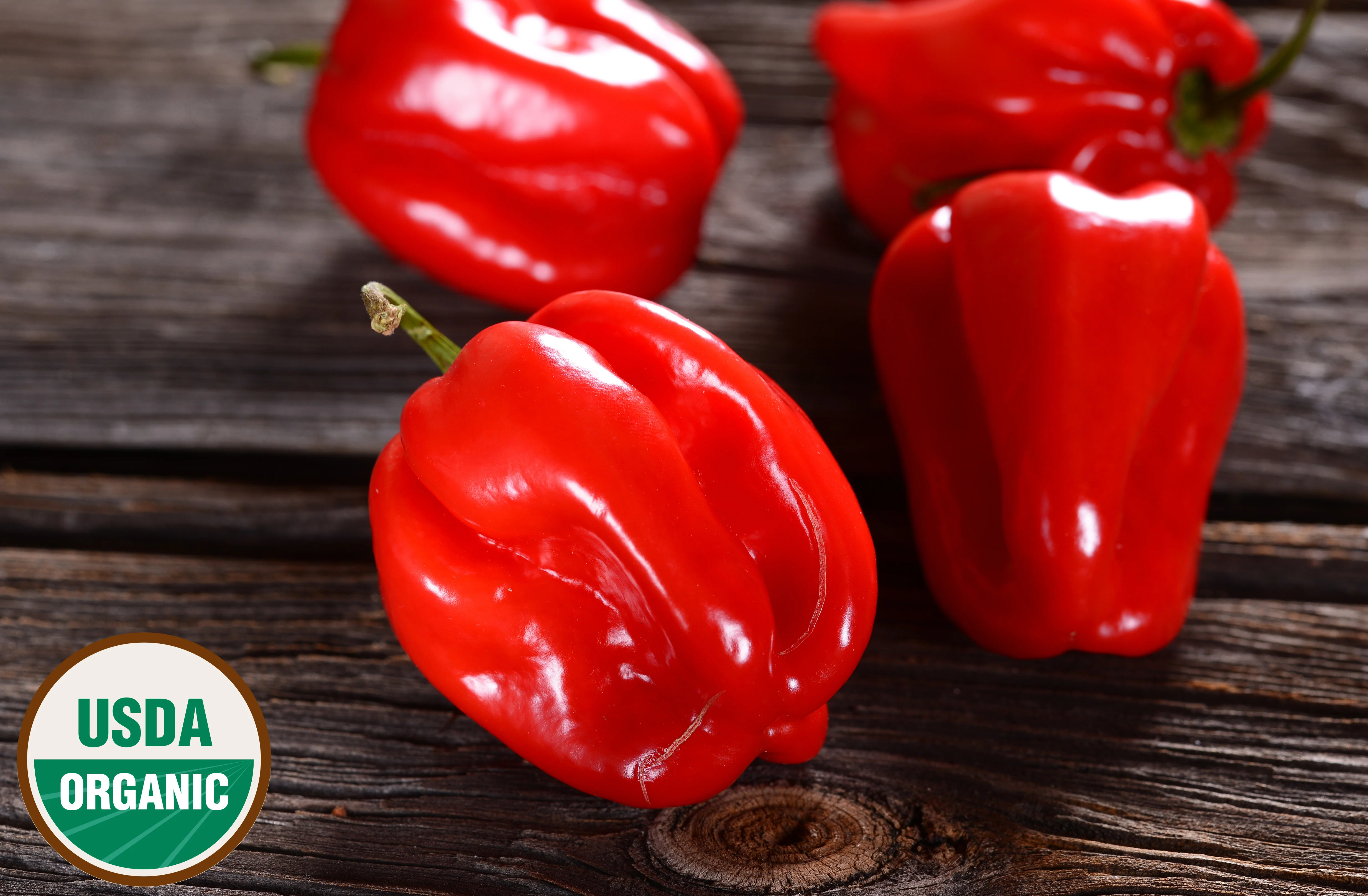 Pepper - Hot - Organic