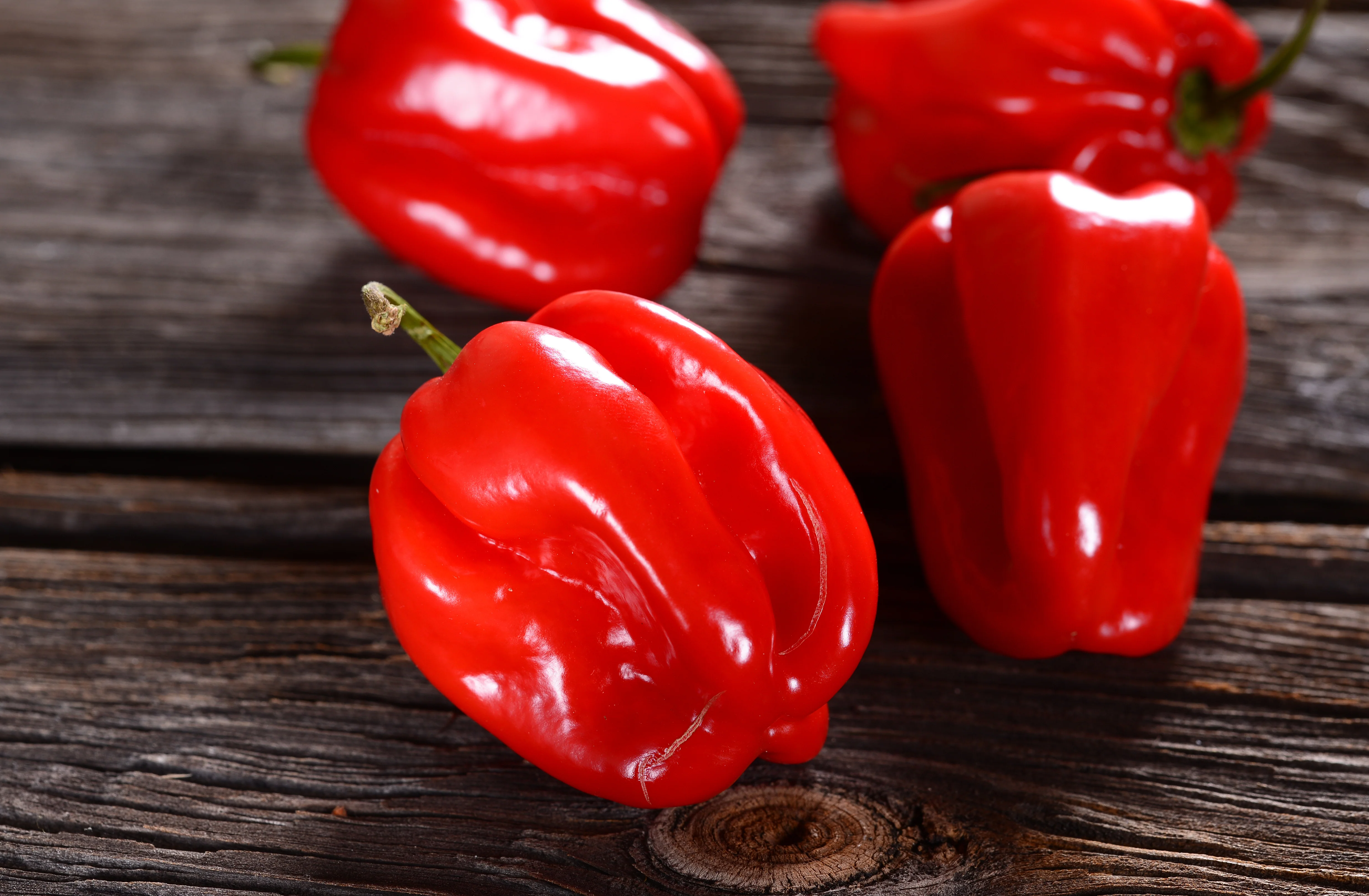 Organic Hot Pepper Seeds - USDA Red Habanero (30 Seeds) - Image 4