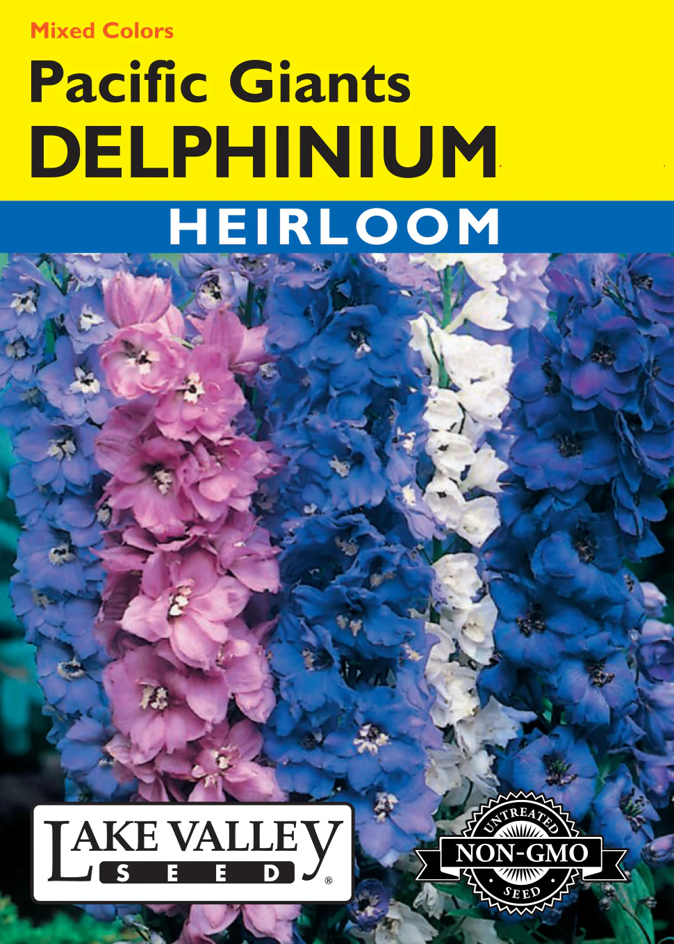 Pacific Giants Delphinium - Mixed Colors