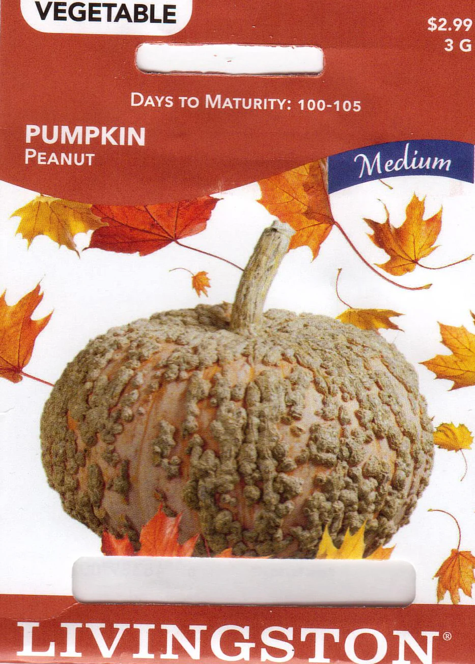 Peanut Pumpkin