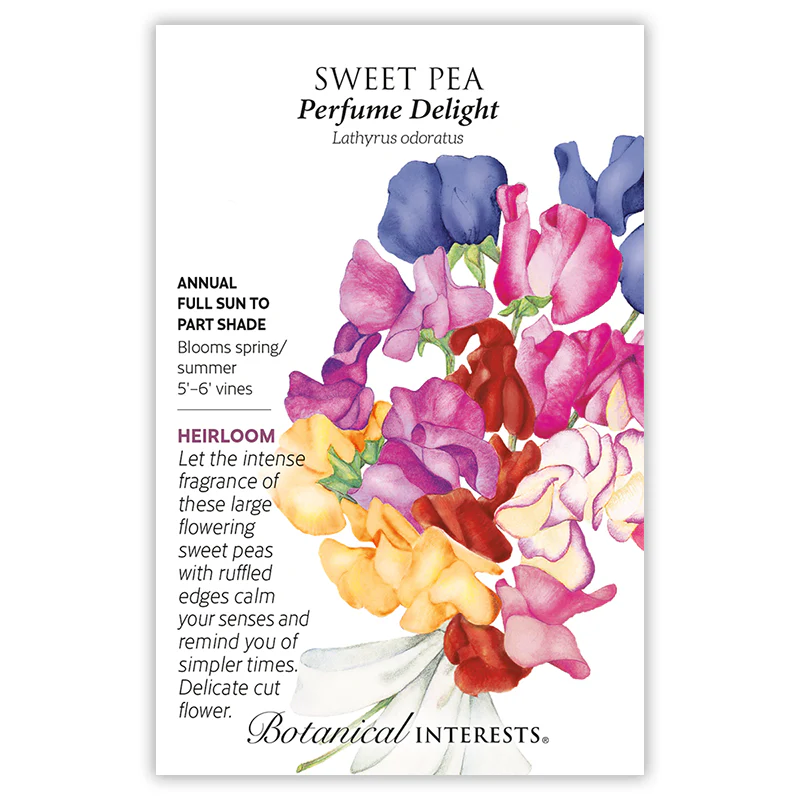 Perfume Delight Sweet Pea