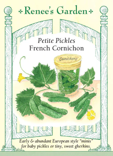 Petite Pickles Cornichon Cucumber - Image 2