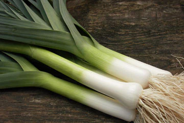 Primor French Baby Leek