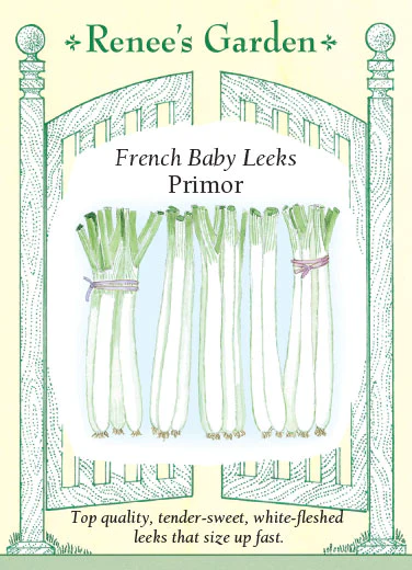 Primor French Baby Leek - Image 2