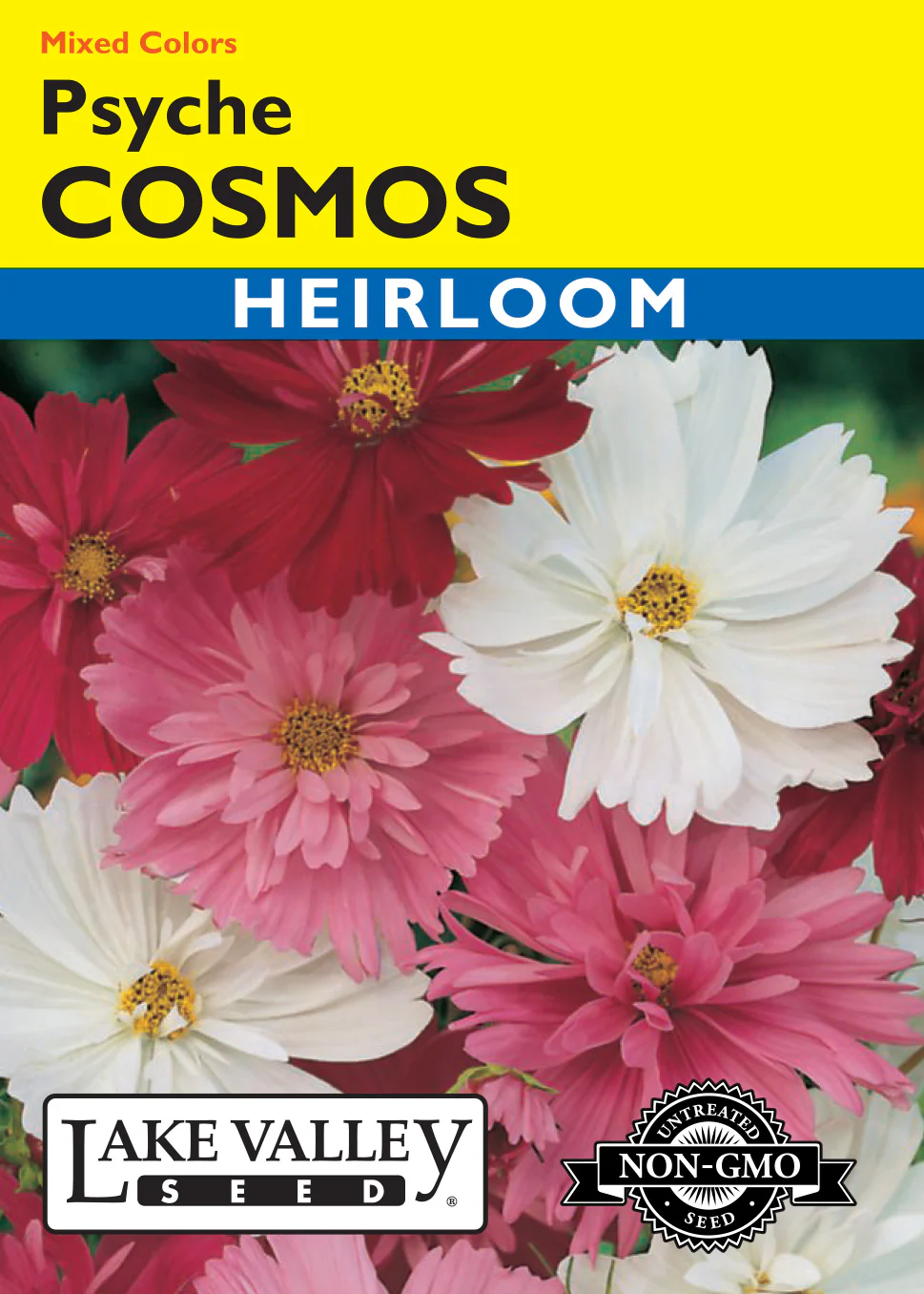 Psyche Mix Cosmos