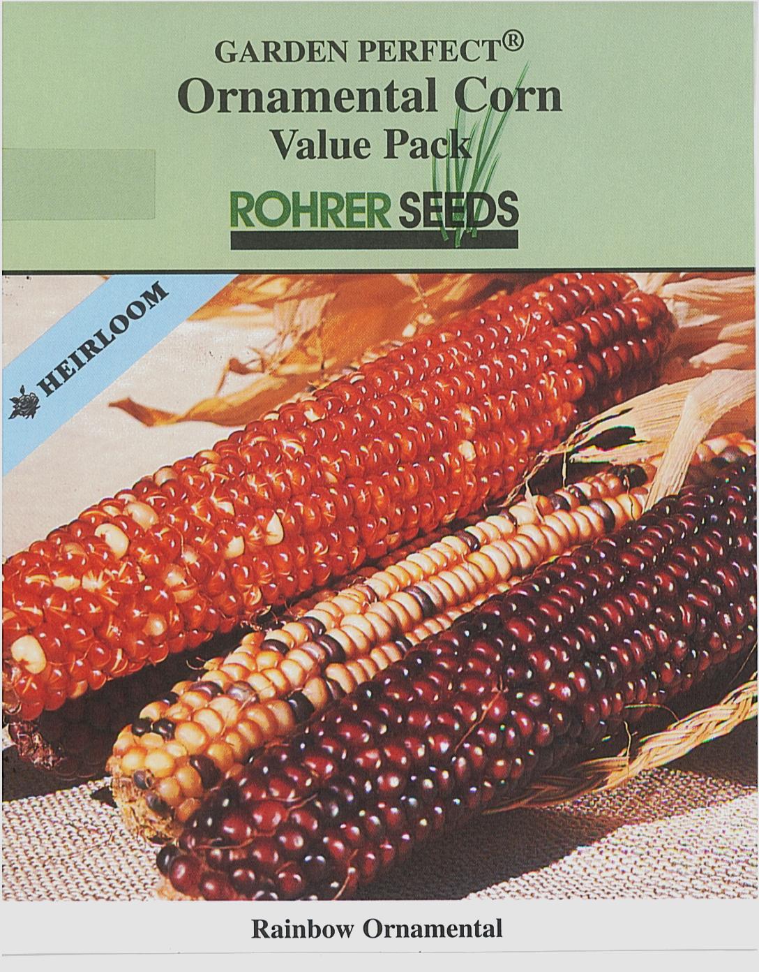 Rainbow Ornamental Corn Seeds